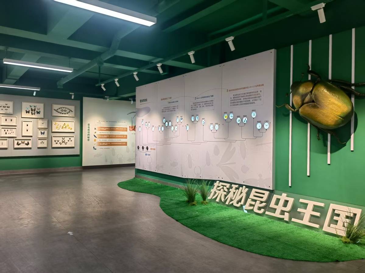 珍稀标本+活体展演 昆明动物博物馆打造沉浸式昆虫科普盛宴