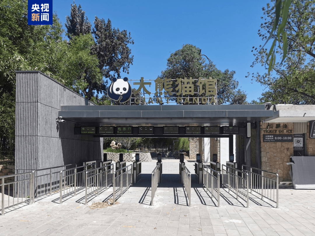 攀爬嬉水设施齐备！萌兰等5只“国宝”入住新居