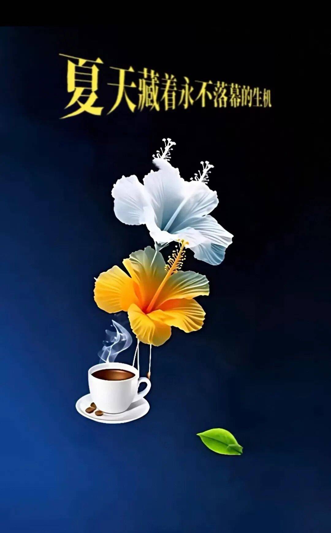 早安｜很阳光的一段话