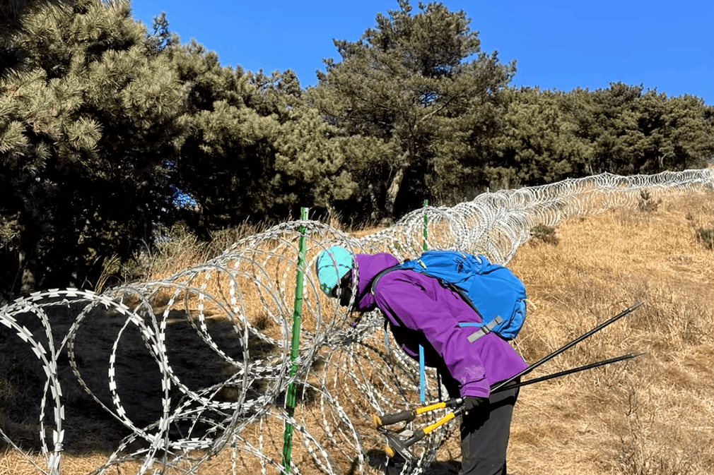 你敢相信吗？泰山围起了135公里的刀片刺绳隔离网，标准堪比边境线