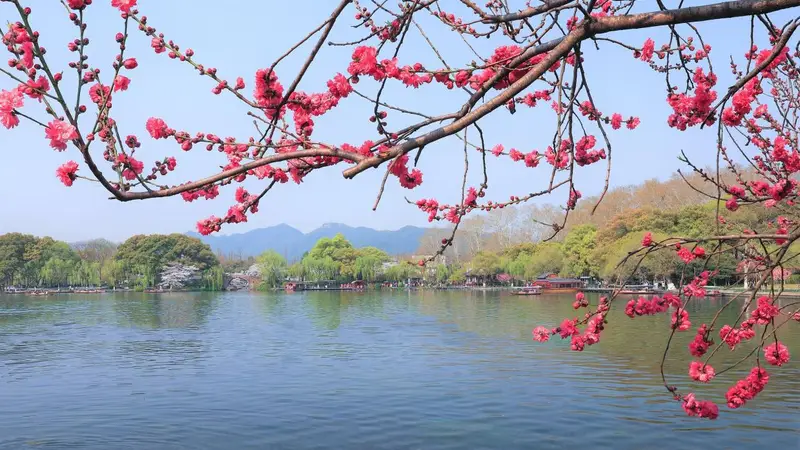 带爸妈游古镇的温馨时光