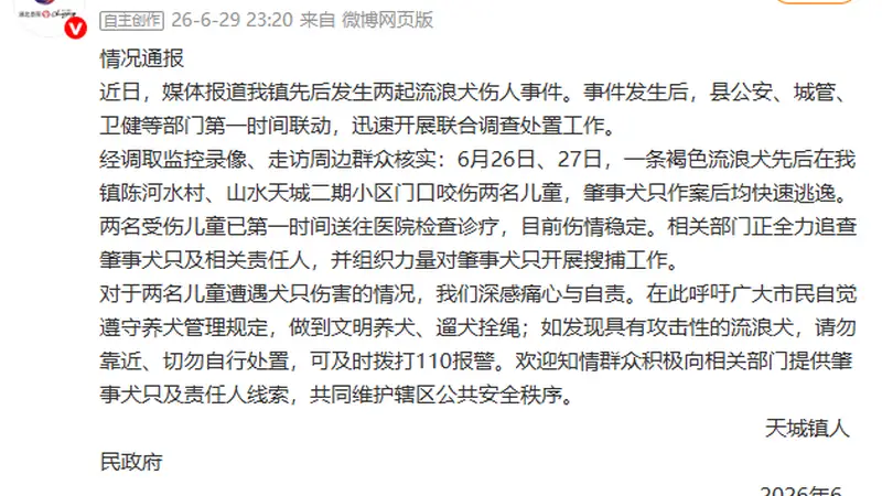 湖北崇阳通报“流浪犬咬伤两名儿童”:全力追查肇事犬只及相关责任人