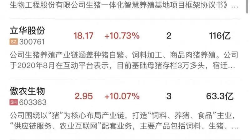 午报沪指放量涨超1%， 全市场超4500只个股上涨，大金融集体走强