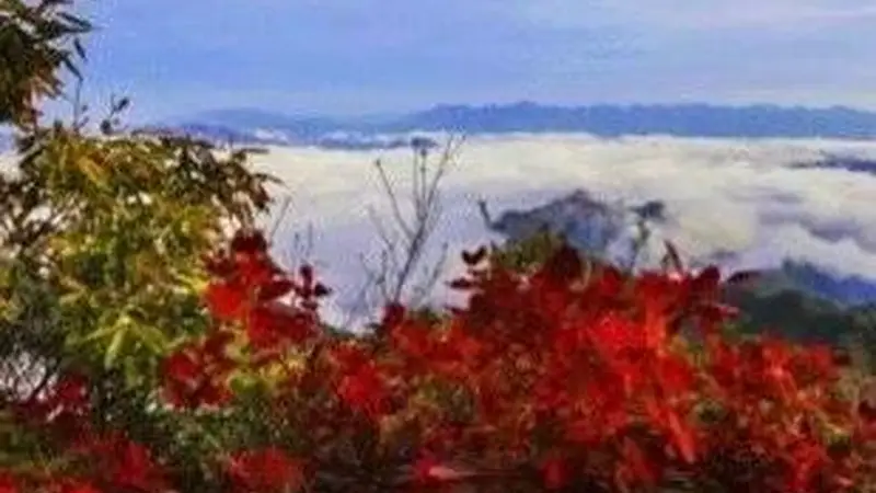 错峰出行！白河庙山寨景区日最大承载量公布！