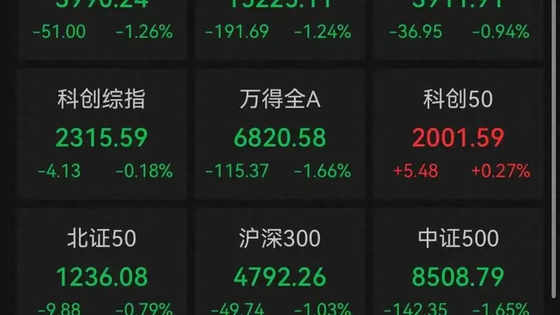 A股收评:近4800只个股飘绿,三大指数集体收跌,科创50收涨