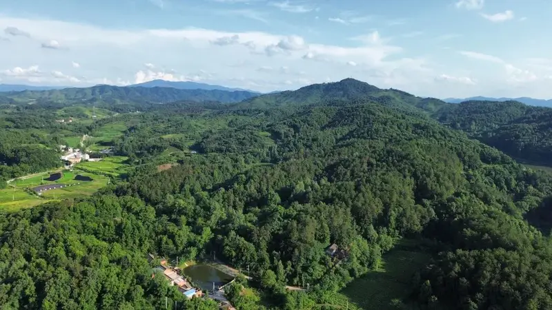 凉亭乡赛山风光惹人醉 茶乡草木含香满是温情