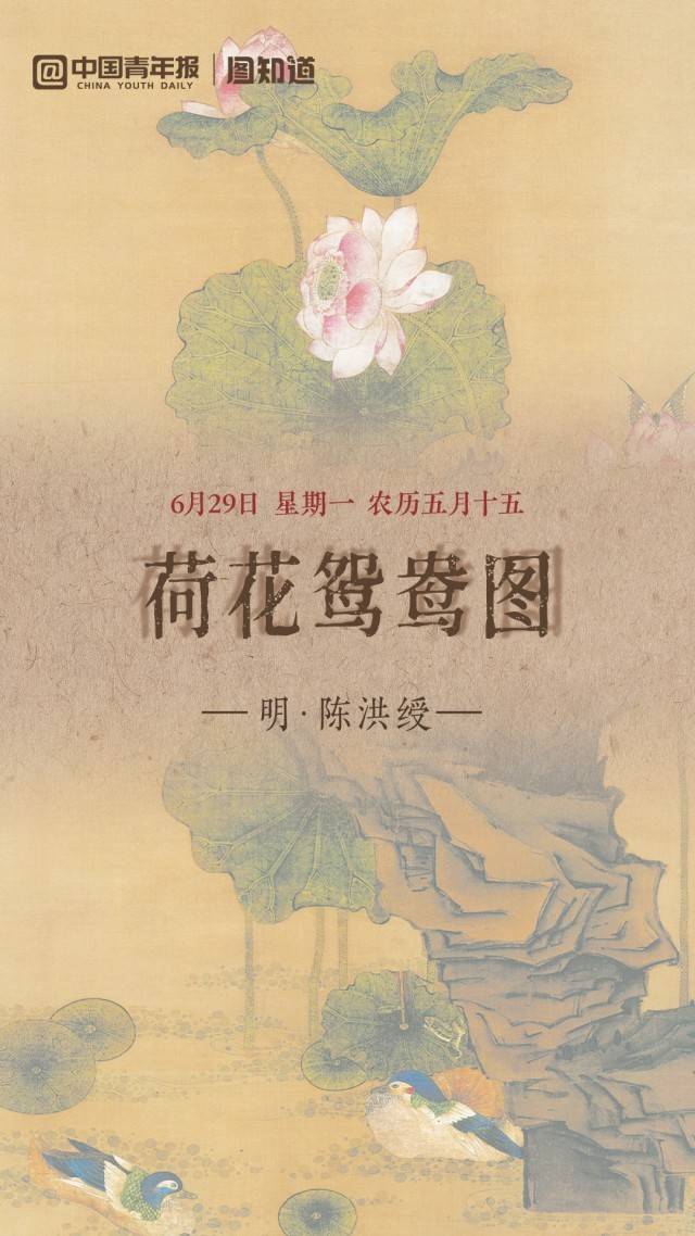 图知道｜《荷花鸳鸯图》：荷风送香 鸳鸯双栖