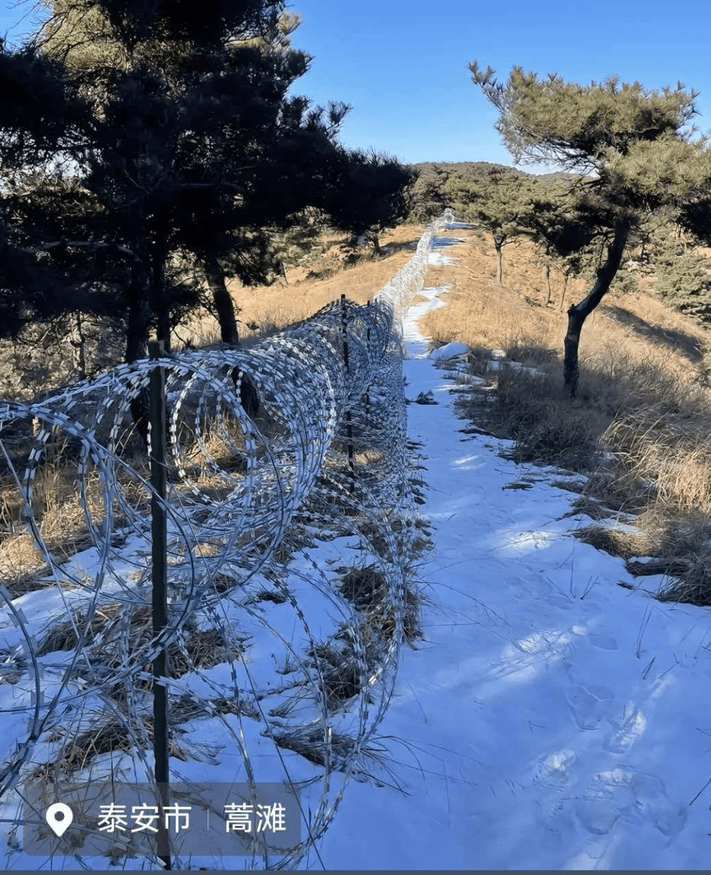评论丨比泰山135公里刀片刺绳更刺眼的，是多部门“无人认领”的荒诞
