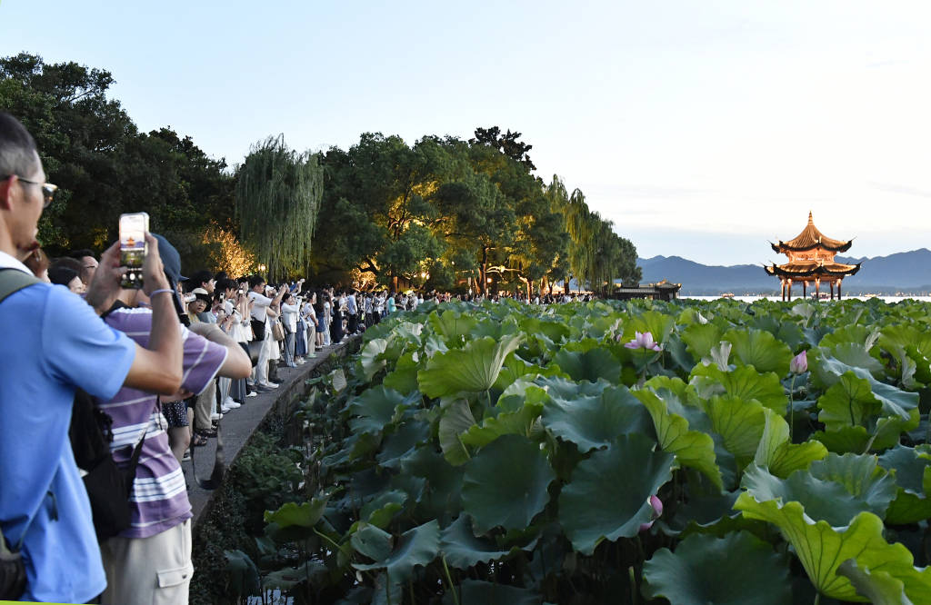 浙江将建立旅游市场吹哨人制度，鼓励知情人举报违法违规行为