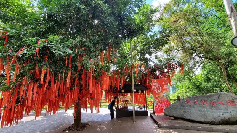 夏季避暑出游全攻略：实用经验助你清凉畅游