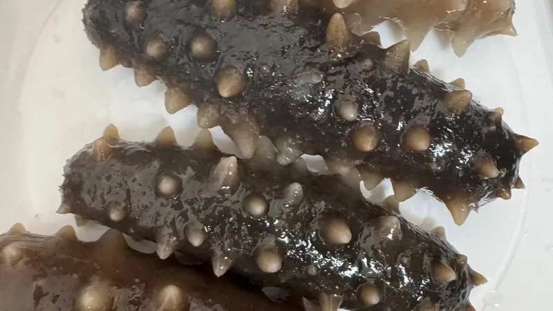 海参怎么吃?不同人群的食用建议