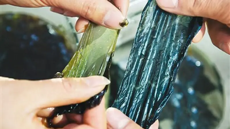 紫菜是用塑料做的,不能吃了?