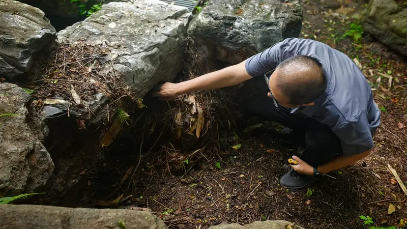 香山公园雨后清理枯枝落叶和积水,保障游客游园安全