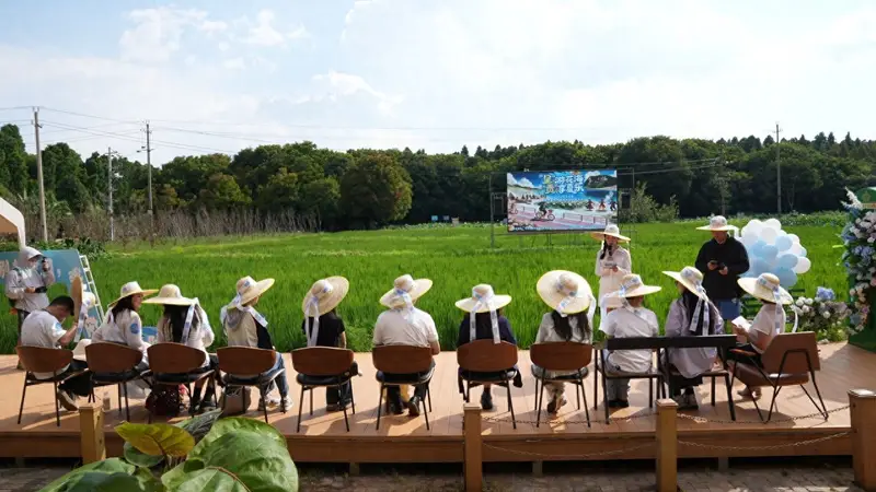 22℃呈贡暑期文旅盛宴：游花海、摘葡萄、跳火把、逛潮集、听音乐会等精彩活动来袭