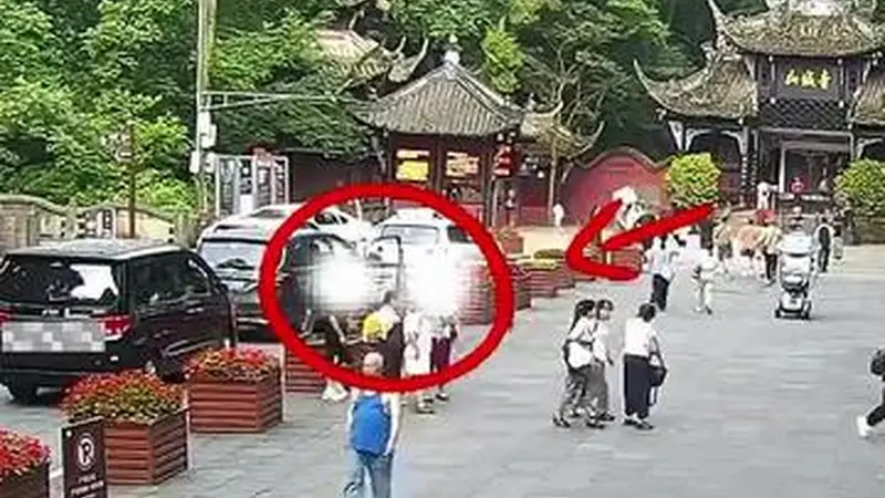 成都青城山“野路子”逃票团伙落网，相关部门严正警告：这不是省钱攻略，而是违法行为！