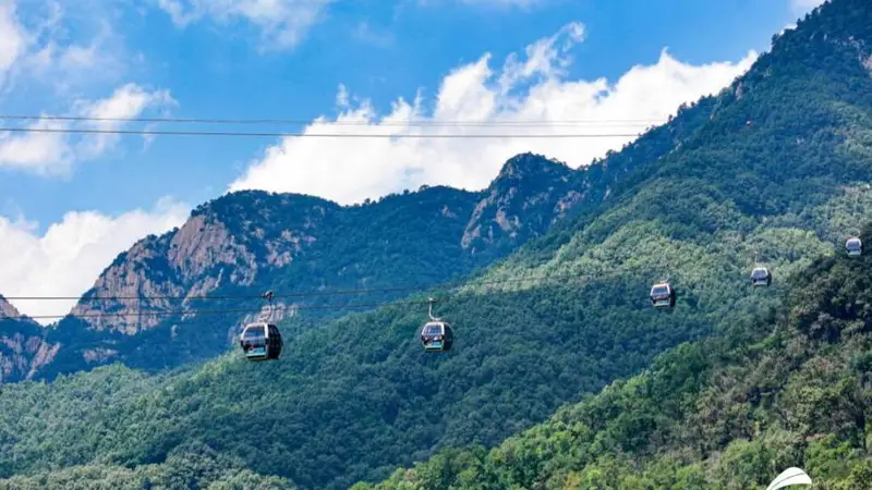 三伏天登泰山 解锁翠林云海清凉胜境