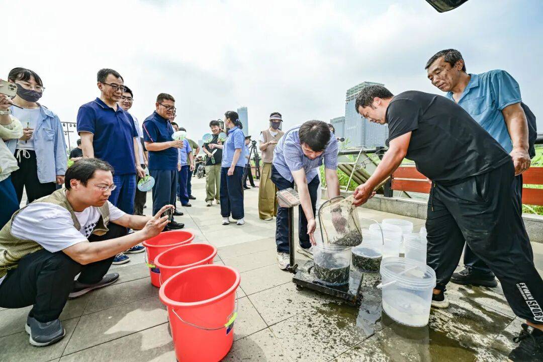 增殖放流修复北运河生态，以鱼净水灭蚊擦亮滨水游园底色