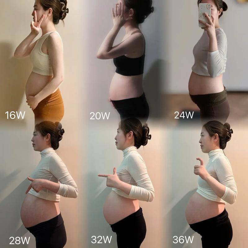 子宫从梨变西瓜、五脏六腑全移位：女人怀孕的“身体重构”，比你以为的惨烈一万倍，身为男人要感恩