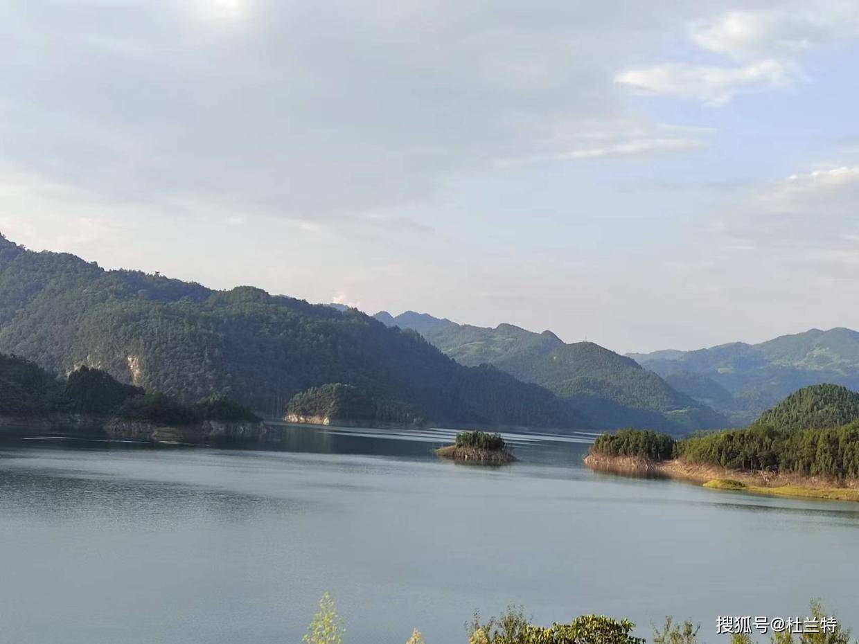 千年茶韵遇上现代匠心——乌江两岸女贞丸与传统苦丁茶的“隔空对话”