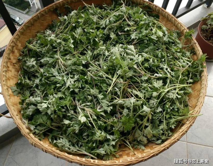 入夏后最该吃什么？这几种鲜嫩野菜别错过，清香可口风味佳！