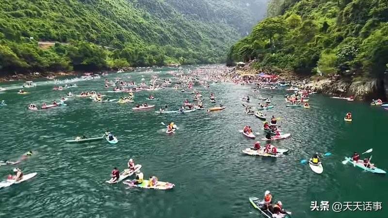 今年现象级网红县市,非广西天峨县莫属,因为一群鱼一张桨板火了