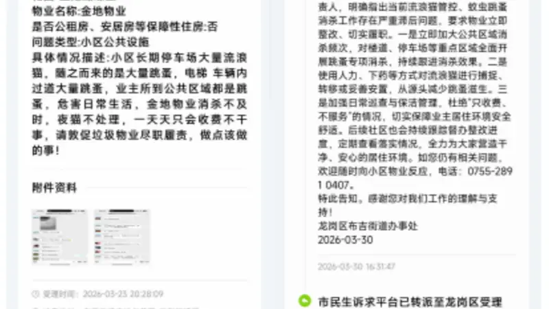 深圳一小区业主不满物业不作为,多年投诉无用!街道办回应