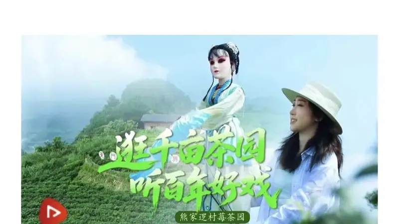 获央视网推介!永定区这几个莓茶园热度爆棚