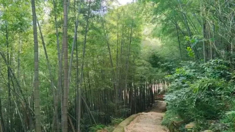 12元/斤,夏日顶鲜!杭州人的餐桌少不了它,吃法毛多嘞!