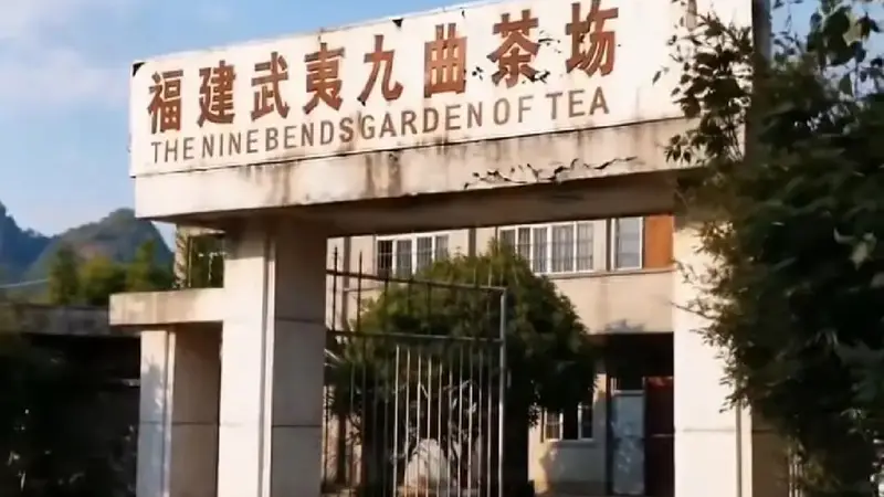 星村茶人引领武夷岩茶产业转型之路