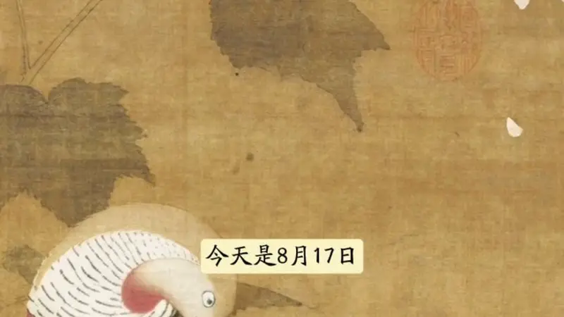 图知道｜《芙蓉锦鸡图》：芙蓉锦鸡 秋色如锦