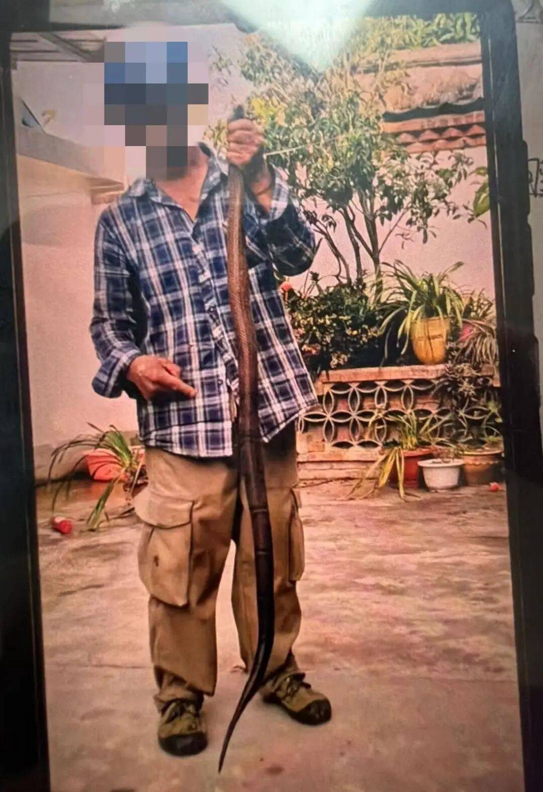58岁男子徒手抓蛇，被咬后还和蛇淡定合影，结果历经4次抢救，两度被推进ICU，当事人：再也不敢了