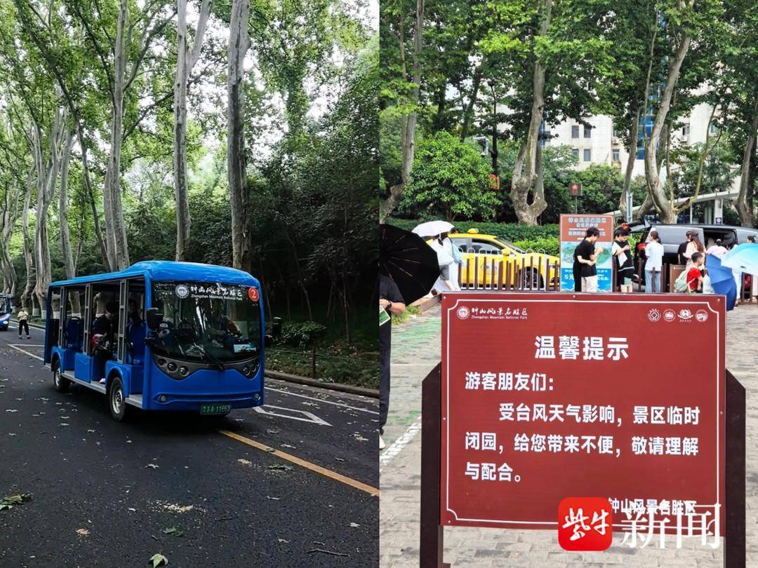 南京钟山风景区临时关闭并劝离进山游客