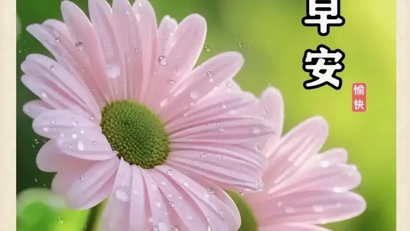 晨光启序，温柔赴朝
