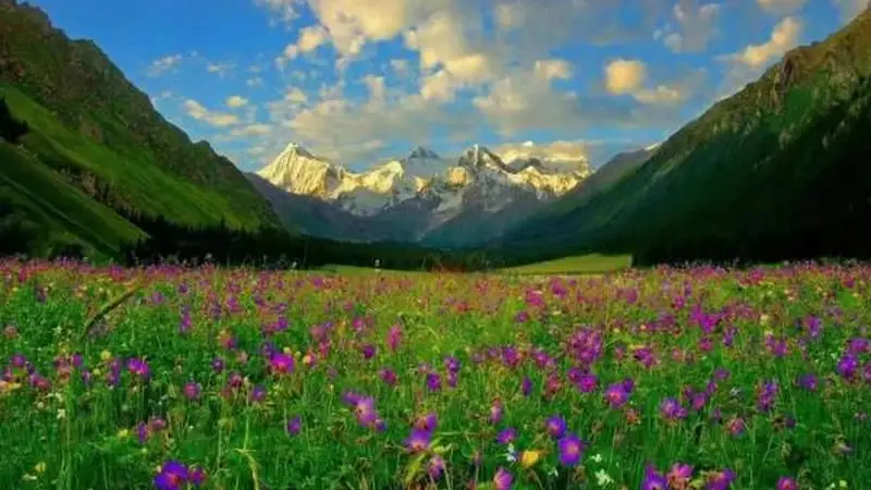 一路向西伊犁河谷的夏花秋叶与冬雪以及那些让人难忘的美食与体验完整攻略附交通住宿贴士