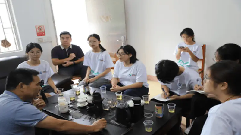深山好茶如何走出山?岭南师院学子调研江林茶 为非遗茶品牌振兴献青春智慧