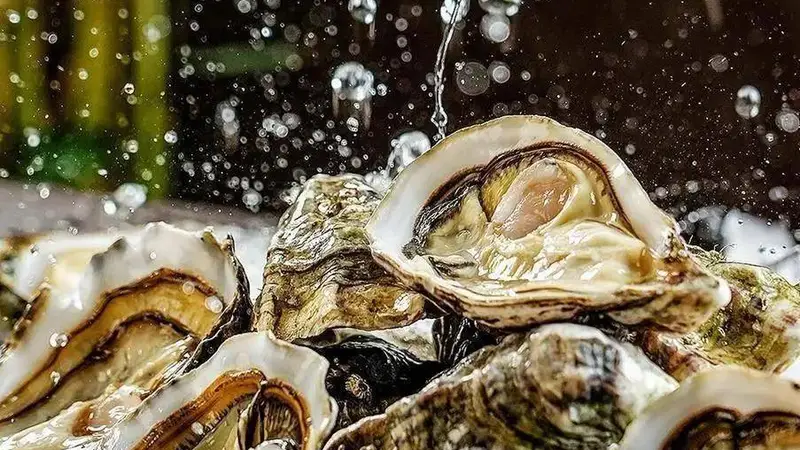日照海鲜店，走访 5 家景区排挡，海鲜选购攻略，客观口碑测评分享
