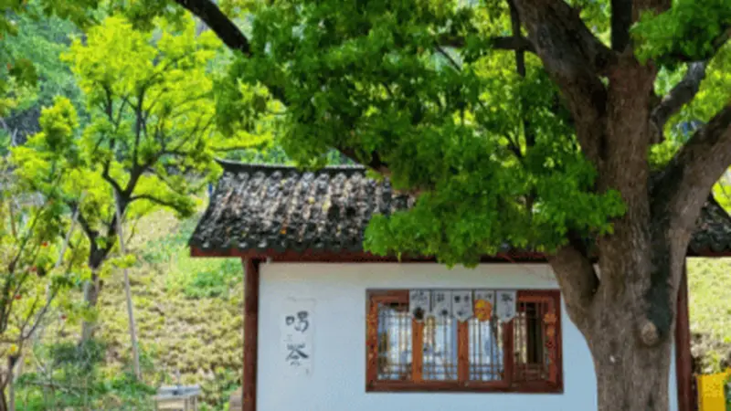 临平超山后山慢行,山野竹林避开主景区人群