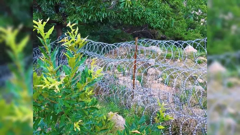 泰山景区:设刀片刺网是为保护驴友
