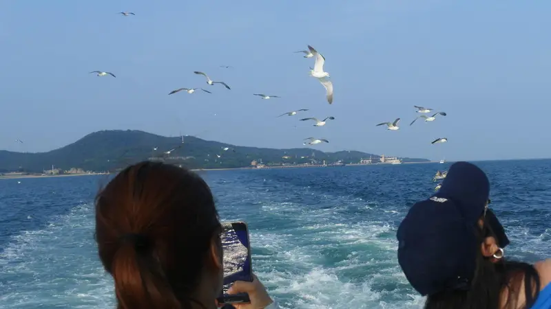 文旅观察|暑期滨海游明显升温，市场供给丰富游客仍可“捡漏”