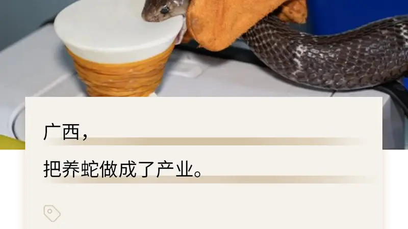 被冲毁的广西养蛇场，藏着500亿的大生意
