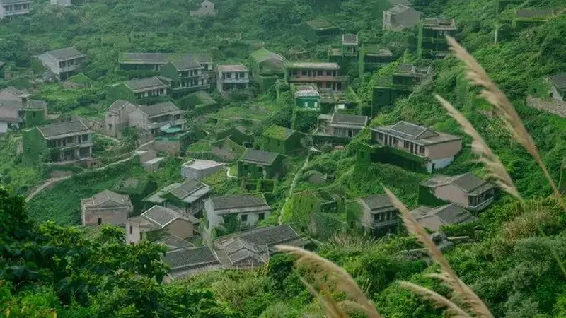 被遗弃的中国绝美无人村，真实世界版的“绿野仙踪”！
