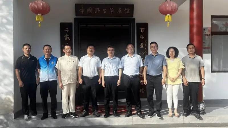 江西省市县文联专家组赴武宁调研 为太阳红野生茶文化赋能指明方向