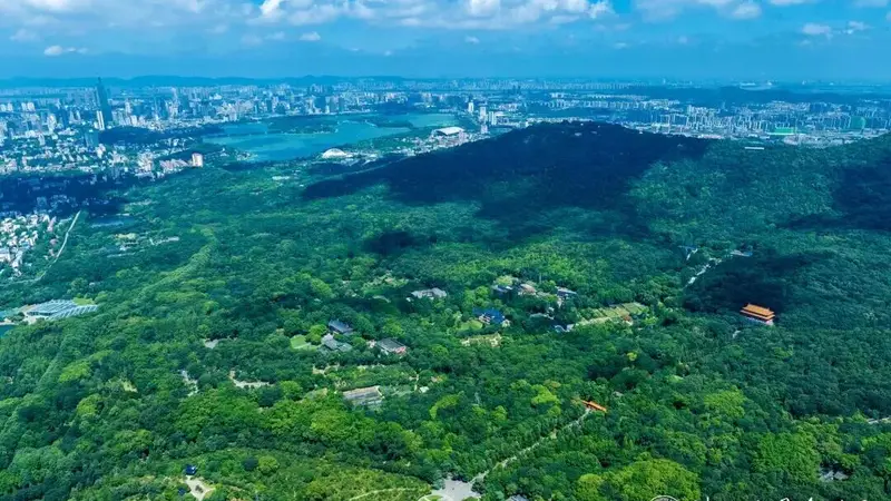 南京钟山风景区邀请全国2026年高校新生来打卡!