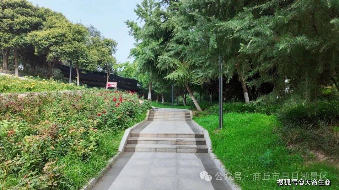 商丘日月湖：一抹青绿，万般清凉
