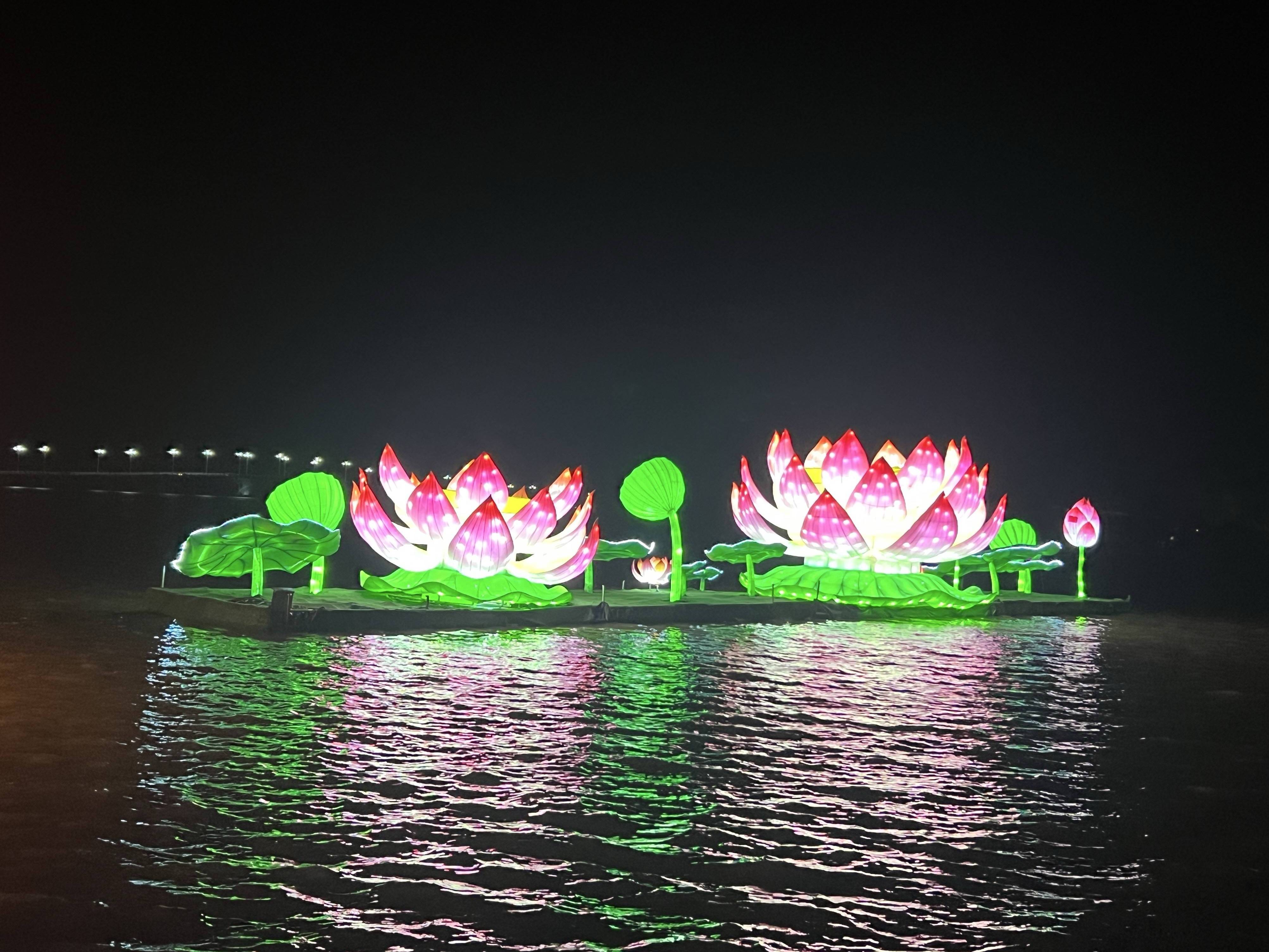 夜游淮阳赏荷韵 古今相融点亮水城夏夜