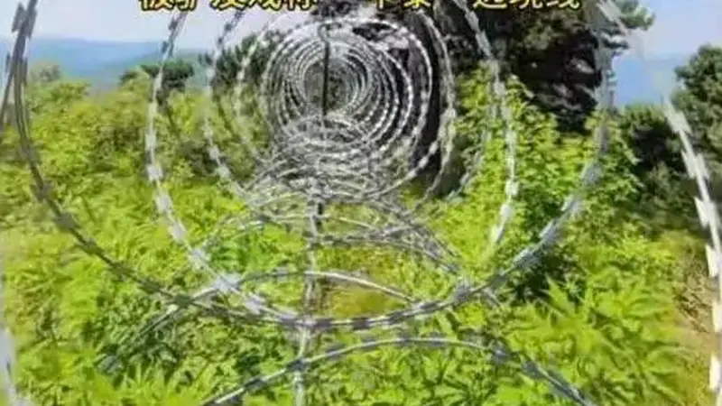 泰山周边建设135公里刀片刺绳隔离网，此前有报道称旨在防火防虫