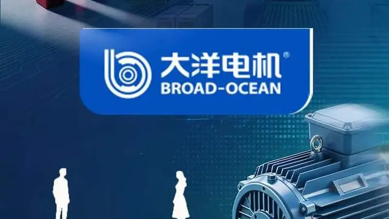 “60后”两口子闹离婚，大洋电机2天蒸发30亿