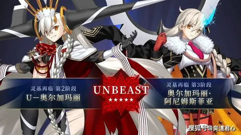 《FGO》十周年从者U奥尔加玛丽配队思路:哪些从者能和所长打配合