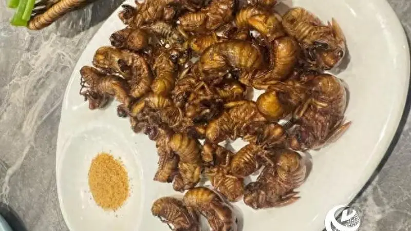 夏日“爬叉”虽美味 尝鲜有度莫贪多