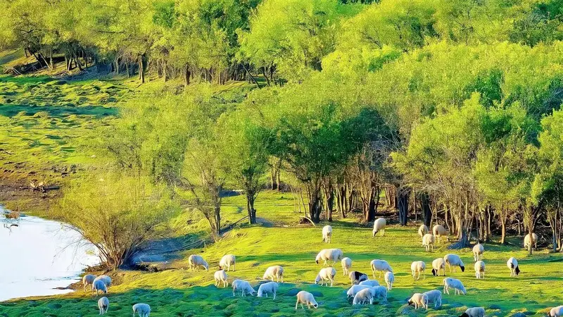 承德市有哪些值得玩的景点？2026 暑期深度游玩指南，首选承德当代国际旅行社